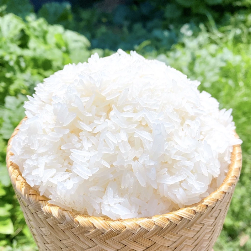 ข้าวเหนียวเขี้ยวงูใหม่ 3
