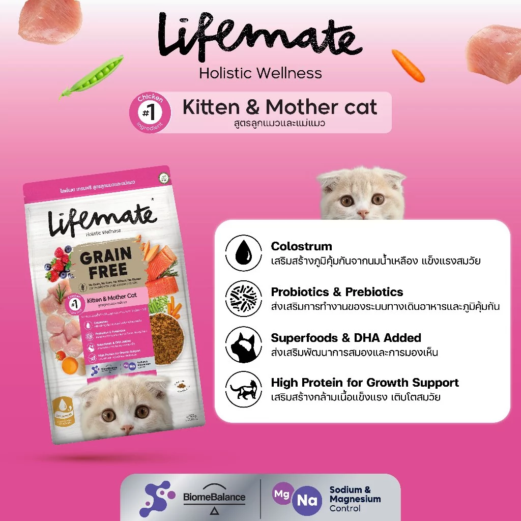 Grain Free Kitten & Mother 2