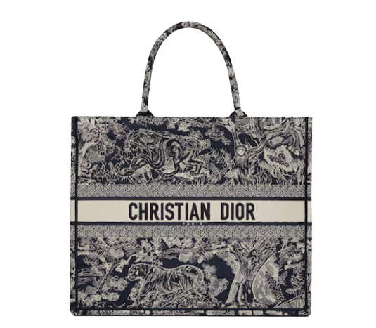 Dior Book Tote  2