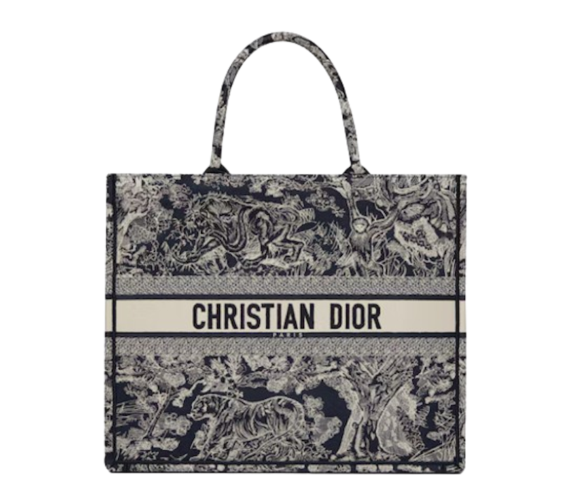 Dior Book Tote 2