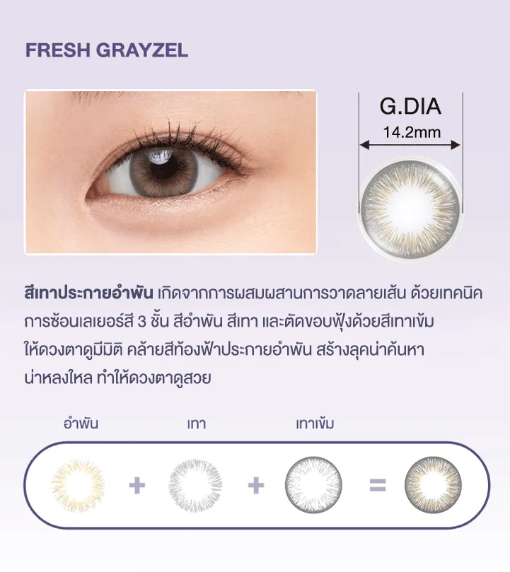 คอนแทคเลนส์สี 1 Day Define Fresh  5