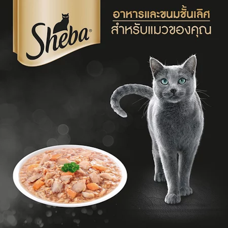 อาหารแมวเปียก 2