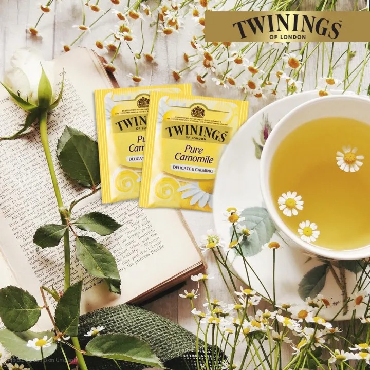  ชาคาโมมายล์ Pure Camomile 3