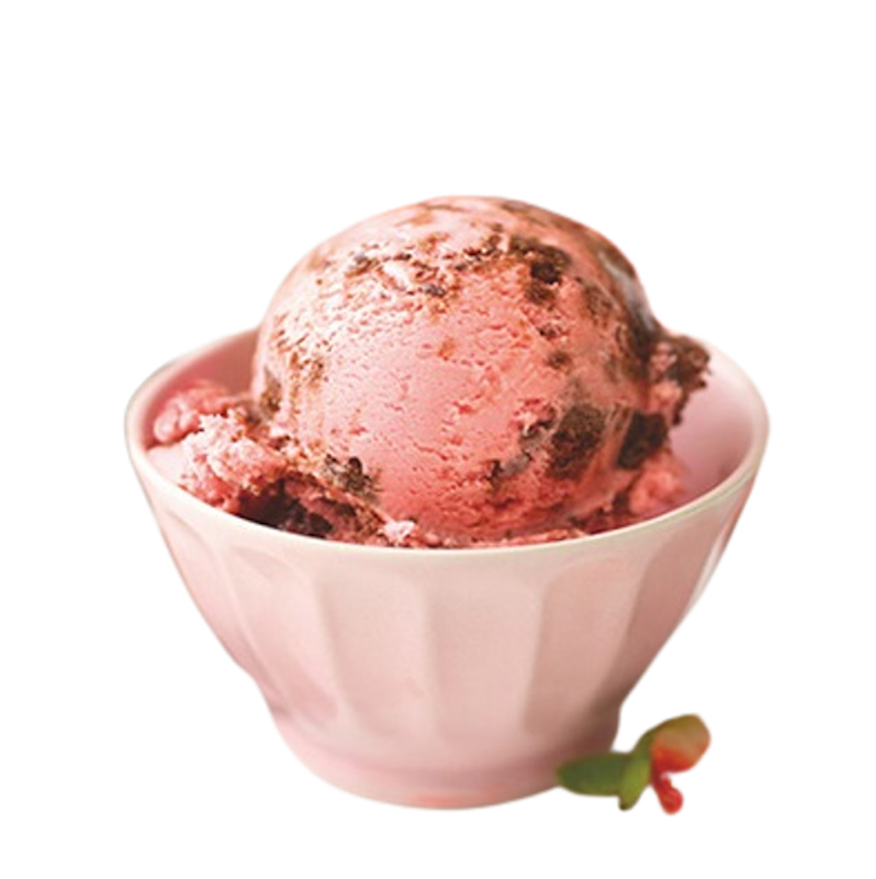 ไอศกรีมรส สตรอว์เบอร์รี ช็อกโกแลต ชังค์ 1