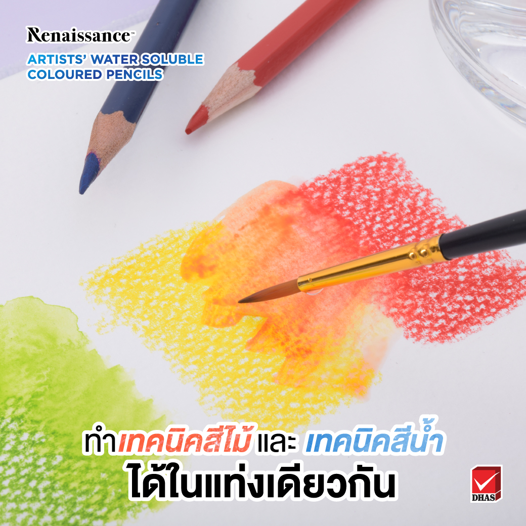 สีไม้ระบายน้ำ 24 สี 3