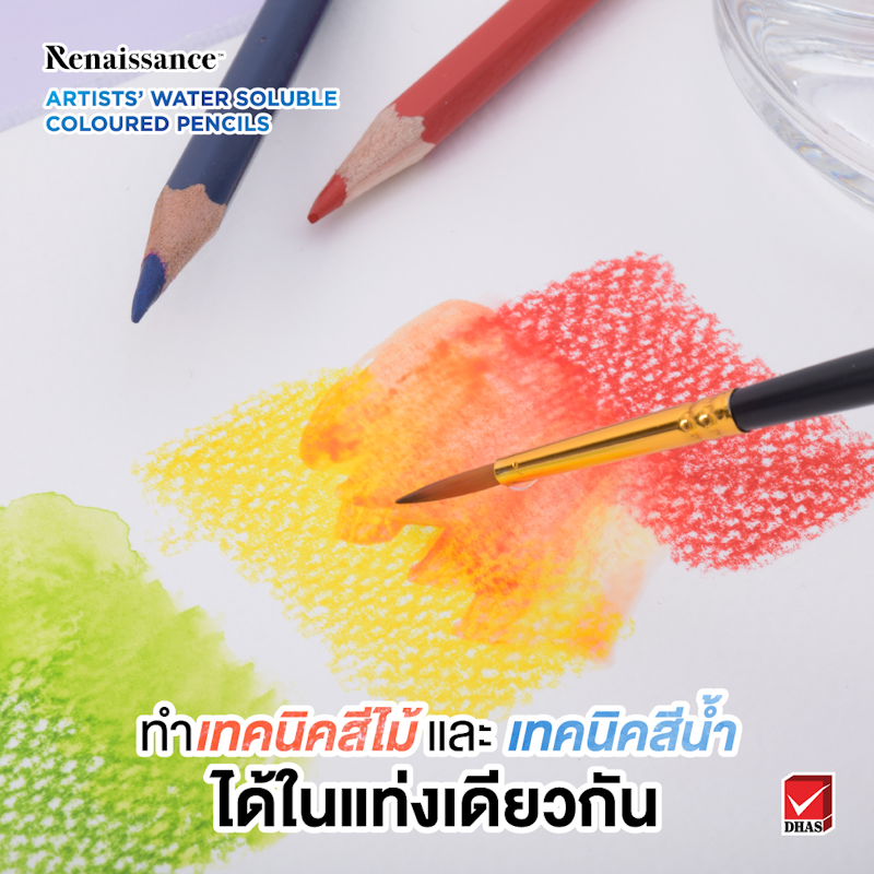 สีไม้ระบายน้ำ 24 สี 3