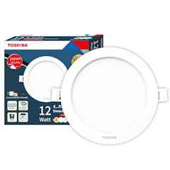 LED Downlight