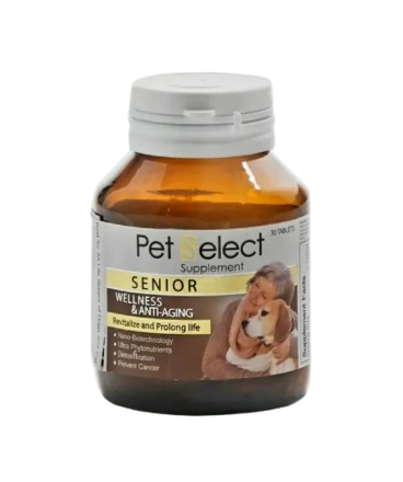 Senior อาหารเสริมสุนัข แมว สูงอายุ 1