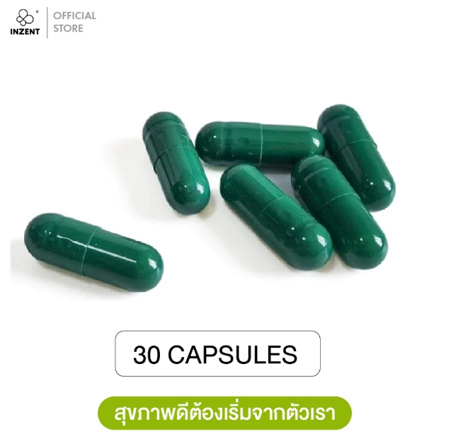 Inulin Apple Extract พรีไบโอติก 3