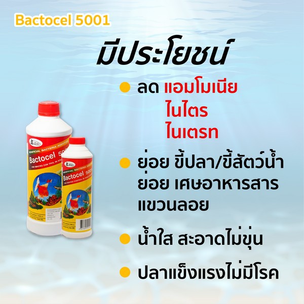 จุลินทรีย์น้ำใส Bactocel 5001 2