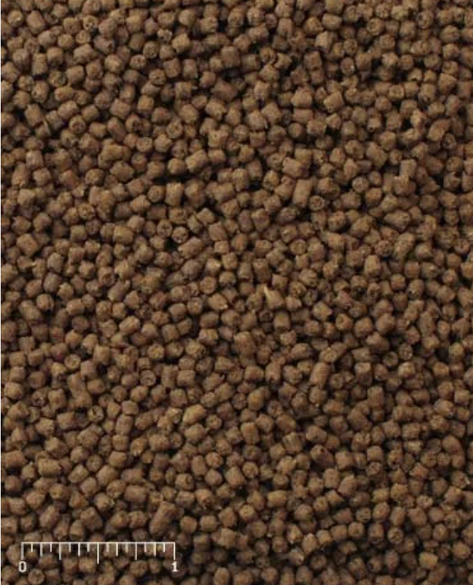 Mazuri Insectivore Diet 3