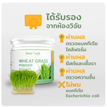 ผงข้าวอ่อนสาลี Wheatgrass Powder 2