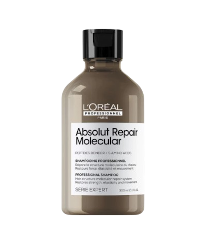 แชมพูดูแลผมเสีย ABSOLUT REPAIR MOLECULAR 1