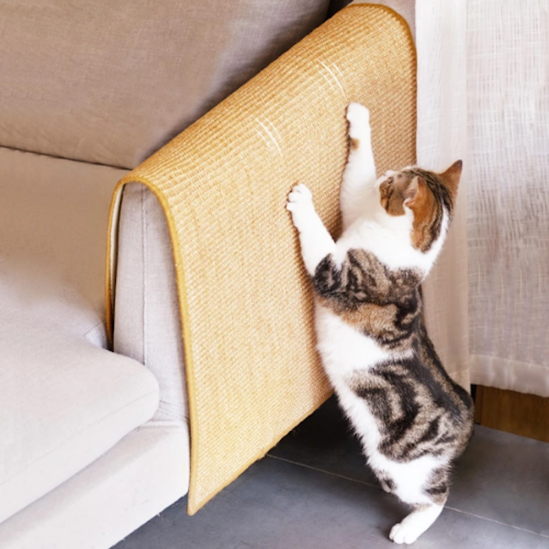 Natural Cat Scratcher Mat 3