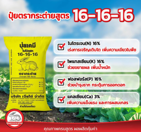 ปุ๋ยสูตร 16-16-16 2