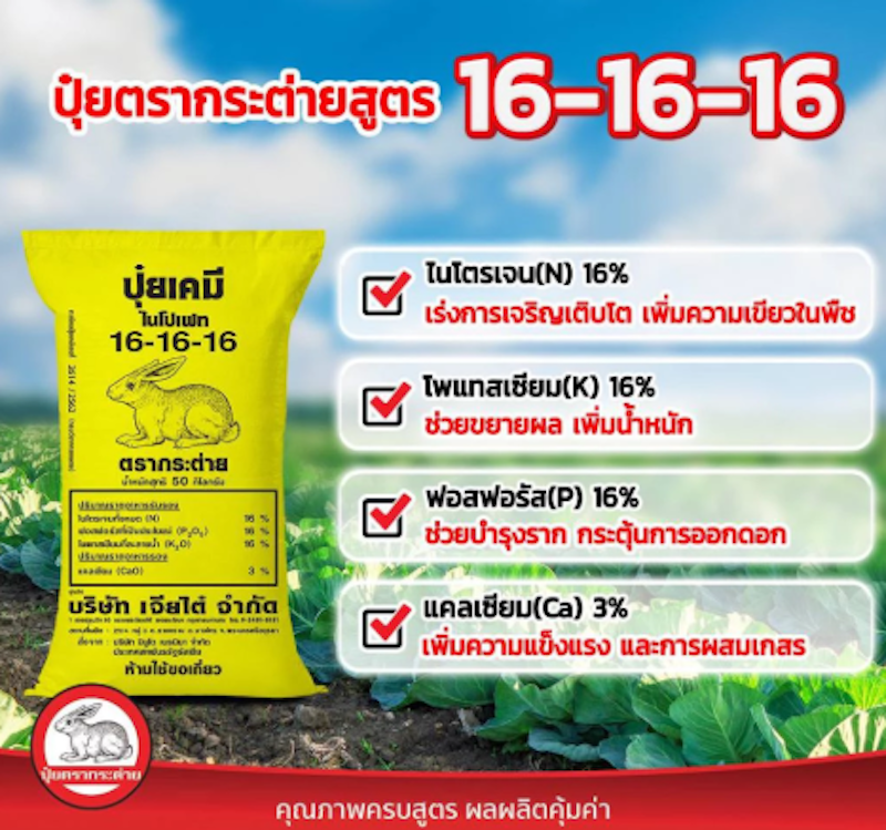 ปุ๋ยสูตร 16-16-16 2