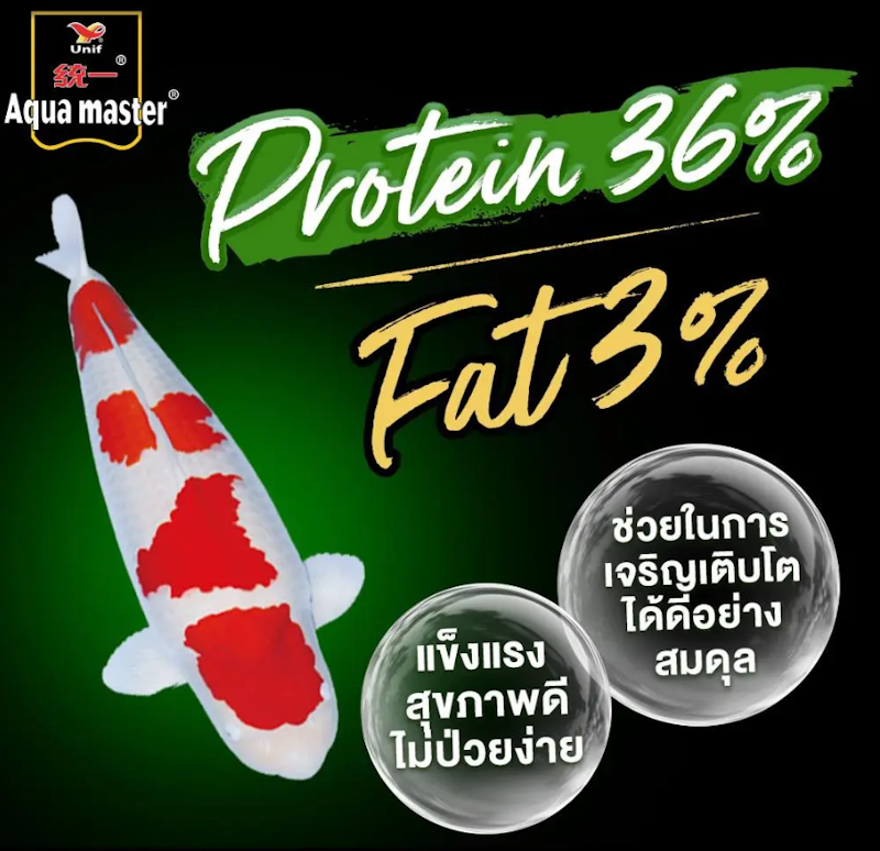อาหารปลาคาร์ฟ สูตรสมดุล 3