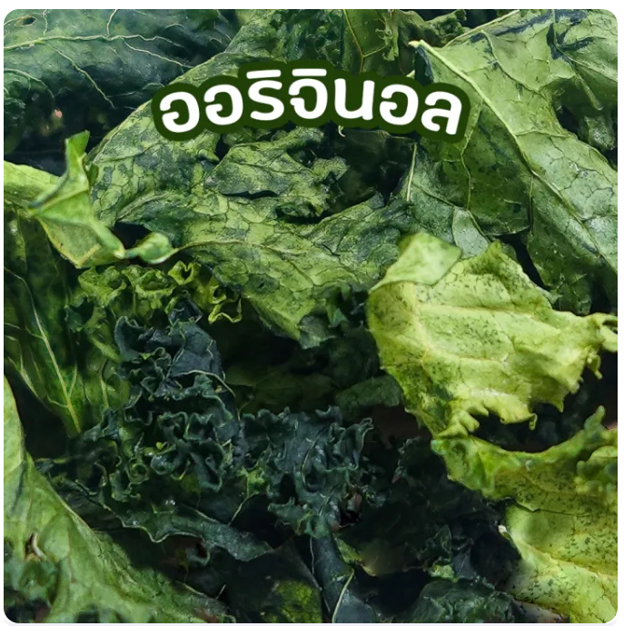 Crispy Kale รส ออริจินัล 3