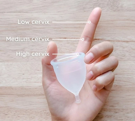Menstrual Cup 3