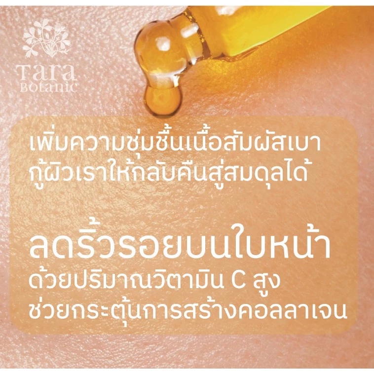 Virgin Rosehip Nourishing Oil 2