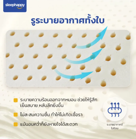 หมอนยางพารา Latex Pillow 3
