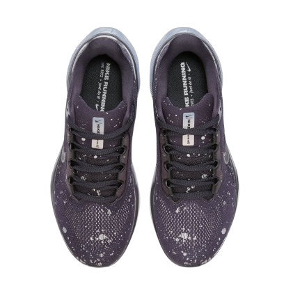 Pegasus 41 SE 2