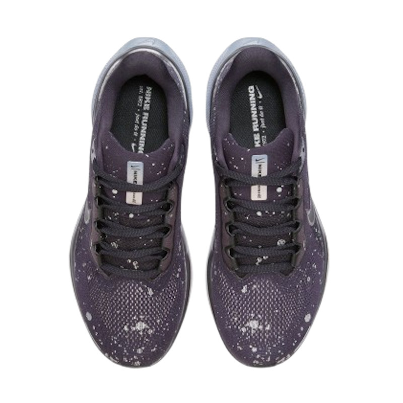 Pegasus 41 SE 2