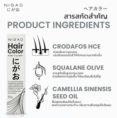 Hair Color Silver Grey 2