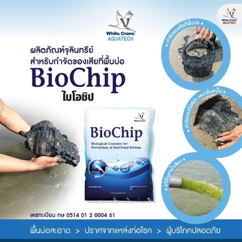 จุลินทรีย์บ่อปลา 3