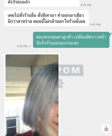 ครีมย้อมผม แม่สี Silver เทาเงิน 3