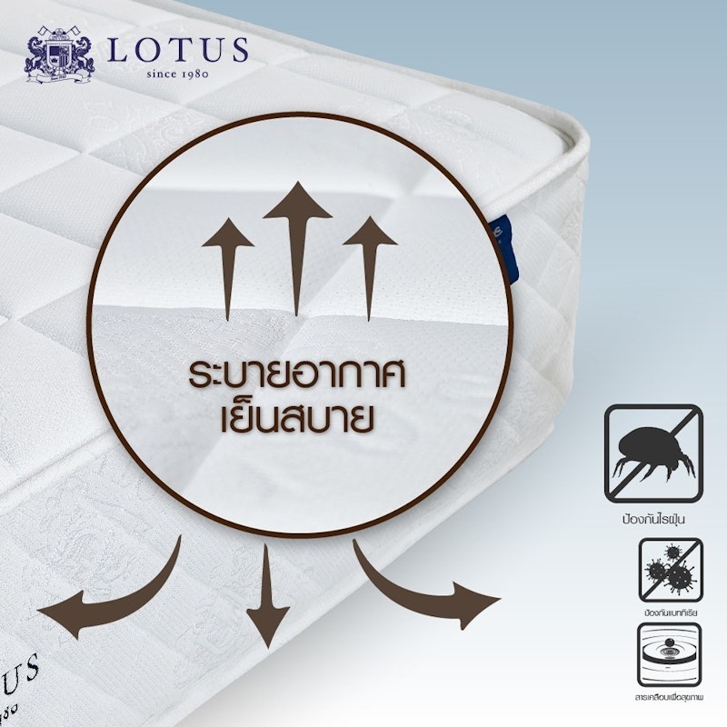 ที่นอน รุ่น Mondavi 3.5 ฟุต หนา 11 นิ้ว 2