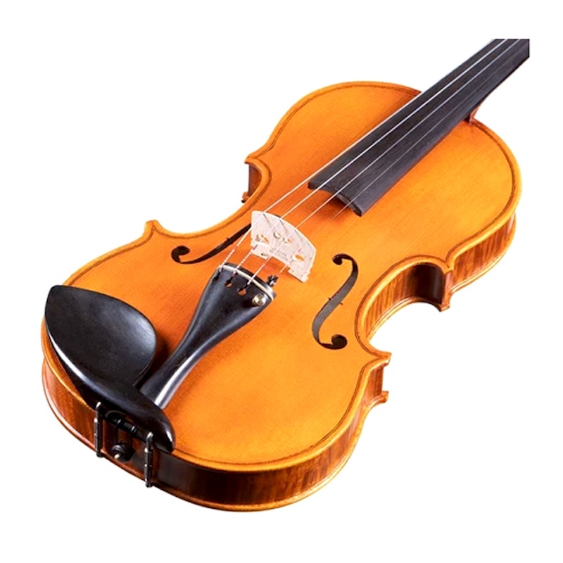 ไวโอลิน Violin 2
