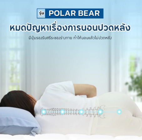 ที่นอนเย็นระบบสูญญากาศ รุ่น Polar Bear 3.5 ฟุต 3