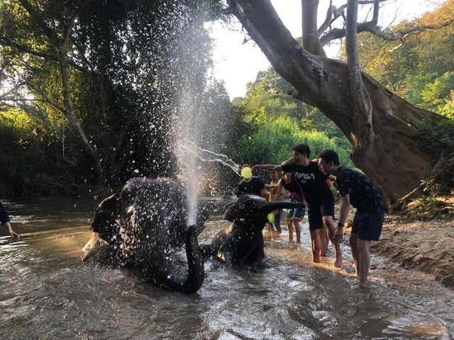 ที่พักดอยอินทนนท์ Chiang Mai Elephant Home 3