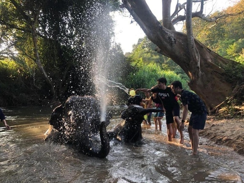 ที่พักดอยอินทนนท์ Chiang Mai Elephant Home 3