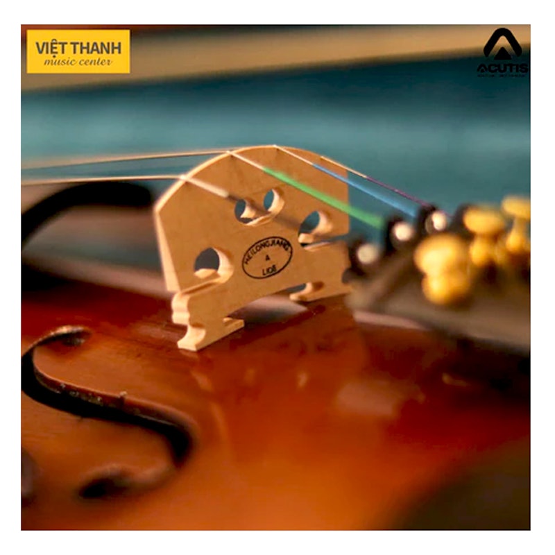 ไวโอลิน Violin 3