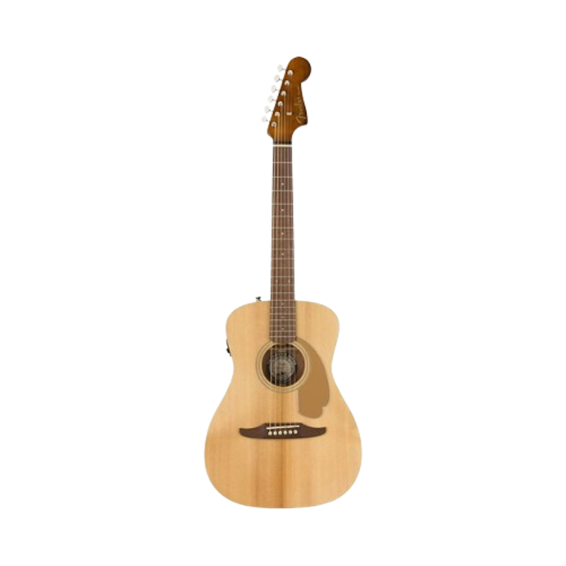 Malibu Player Acoustic Electric Guitar 1