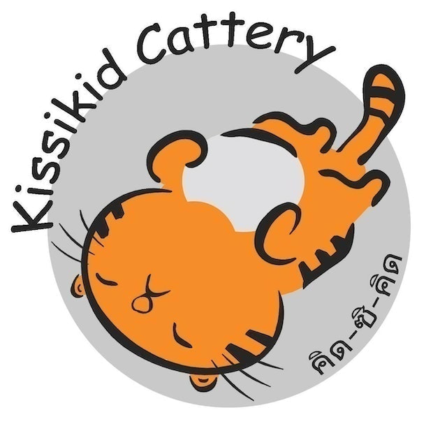 ฟาร์มแมว Kissikid Cattery 1