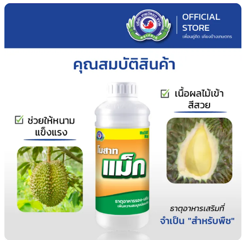 โมสาท แม็ก 2