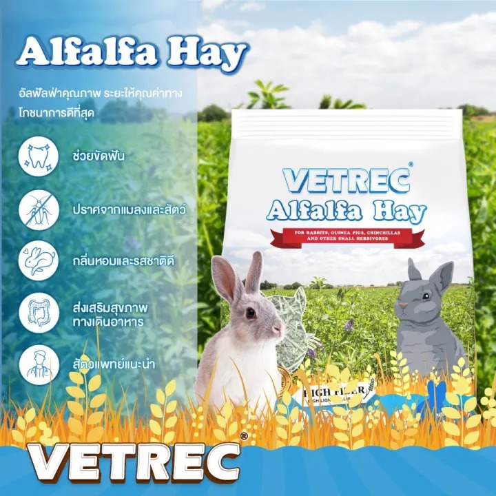  Alfalfa Hay 2
