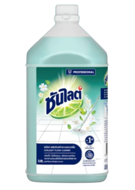 Pro Floor Cleaner 1