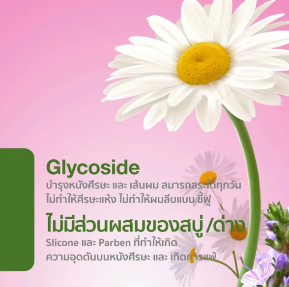 แชมพู Anti-Dandruff Shampoo pH 5.5 3