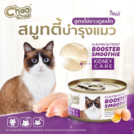 Booster Smoothie Kidney Care  2