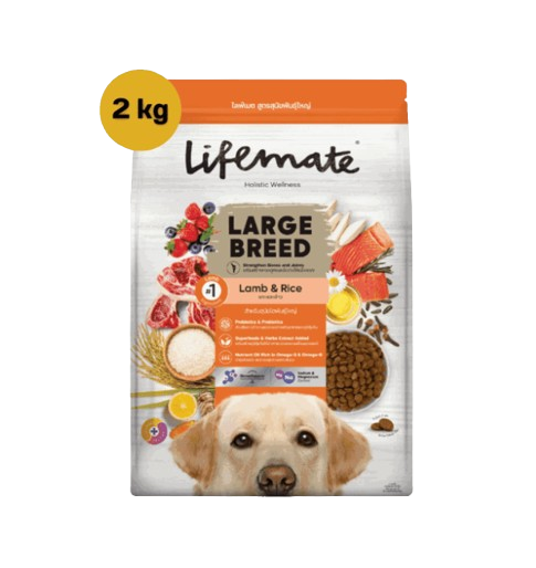 Large Breed 1
