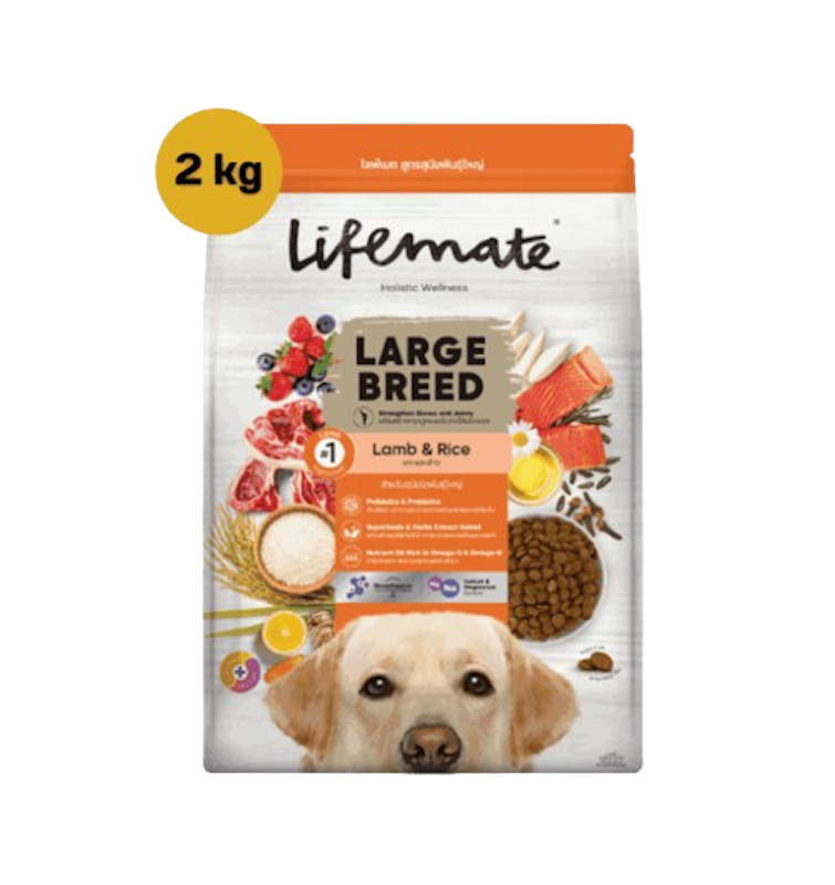 Large Breed 1