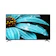 Sharp ทีวี 55 นิ้ว 4K UHD Google TV 1