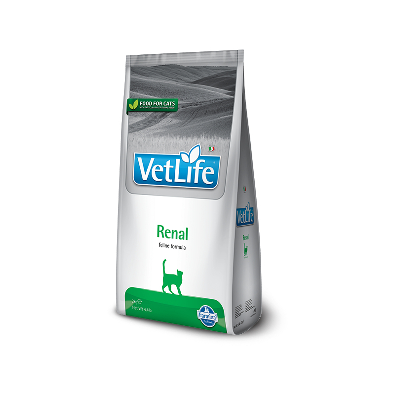 Vet Life Renal For Cat 1