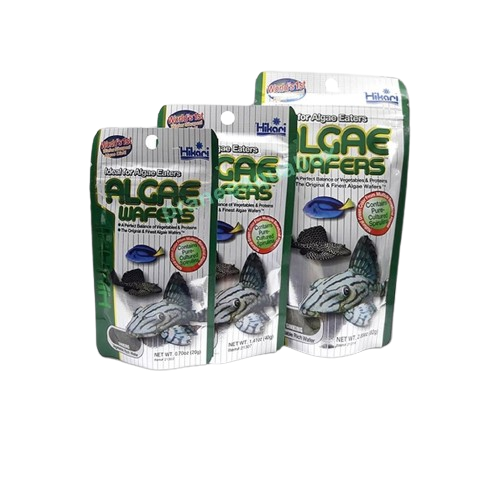Hikari Algae Wafers 1