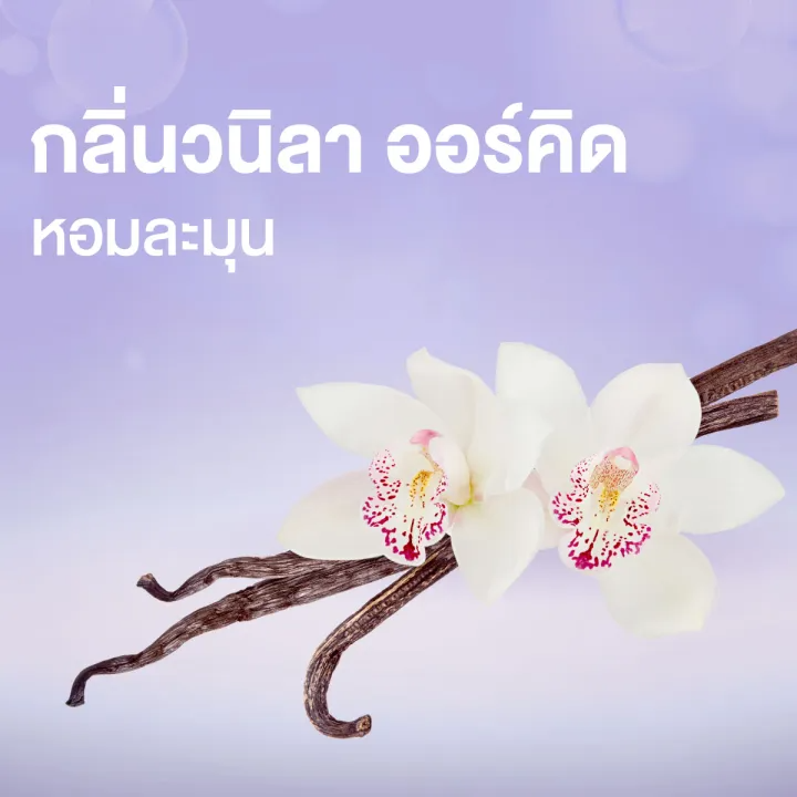 โฟมล้างมือ Foaming Handwash Vanilla Orchid 3