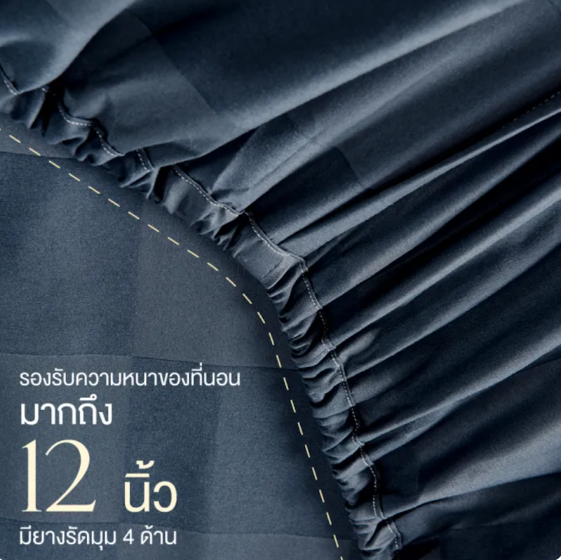 ผ้าปูที่นอน Checkerd Collection 2